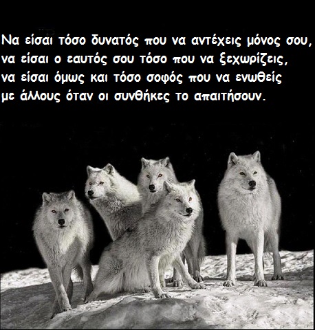 04f be wise
