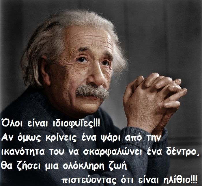 05a everyone is a genius