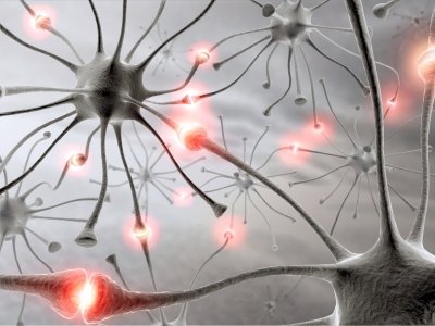 6a synapses
